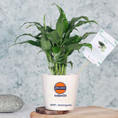 Indian Oil Plant Product 